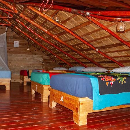 Hostel La Ballena Backpacker Лас-Галерас Экстерьер фото