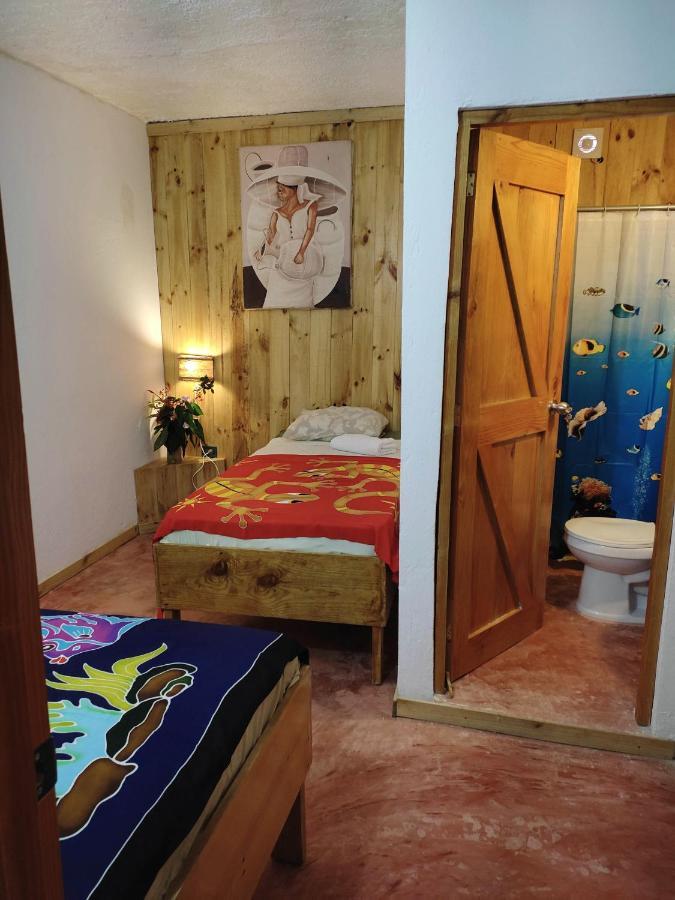 Hostel La Ballena Backpacker Лас-Галерас Экстерьер фото