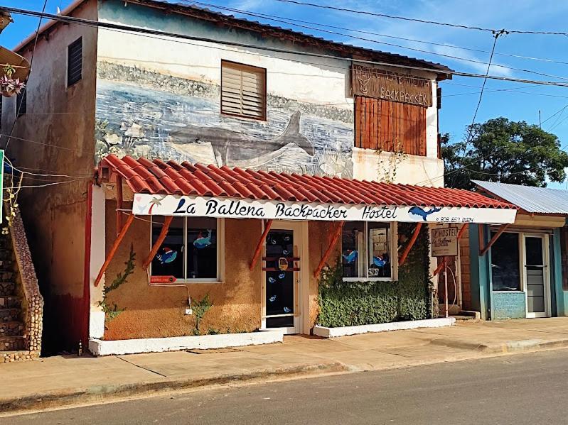 Hostel La Ballena Backpacker Лас-Галерас Экстерьер фото