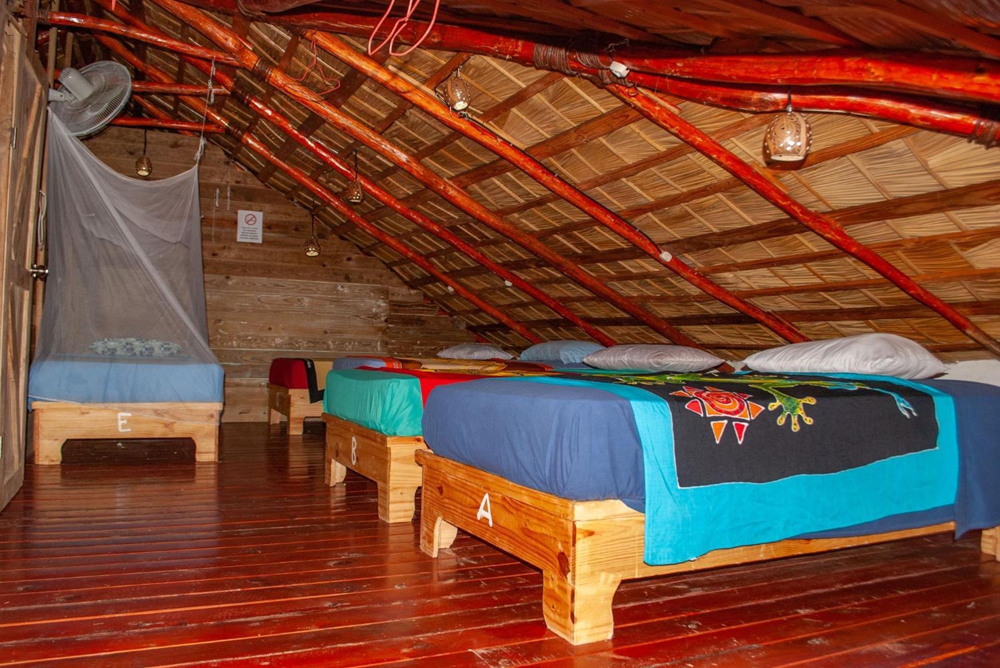Hostel La Ballena Backpacker Лас-Галерас Экстерьер фото
